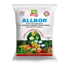 ALLBOR