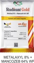RADIANT GOLD