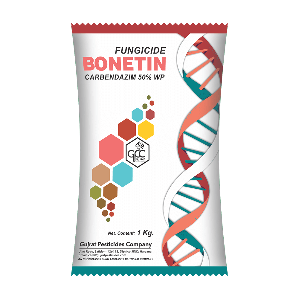 BONETIN