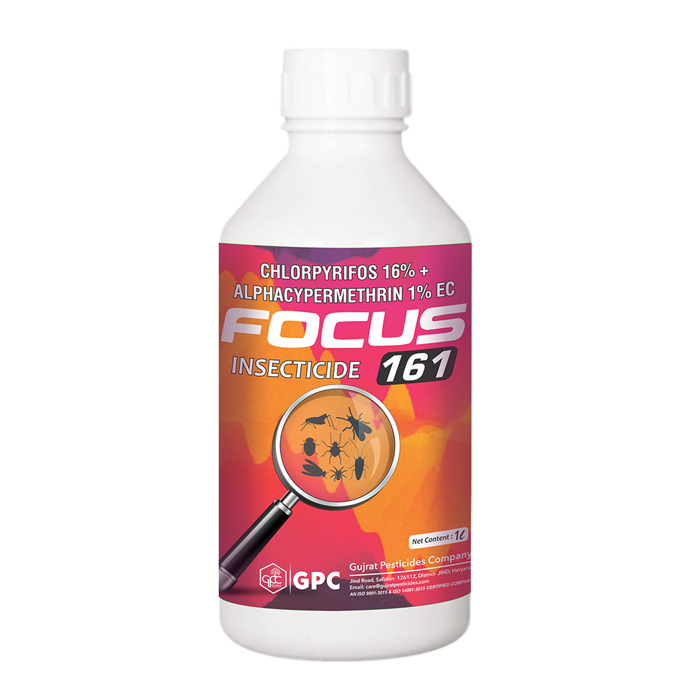 FOCUS 161