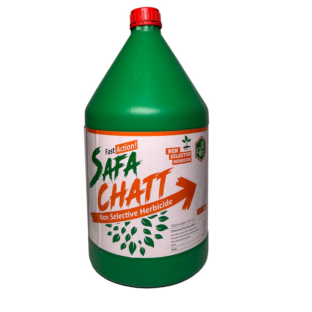 SAFA CHATT