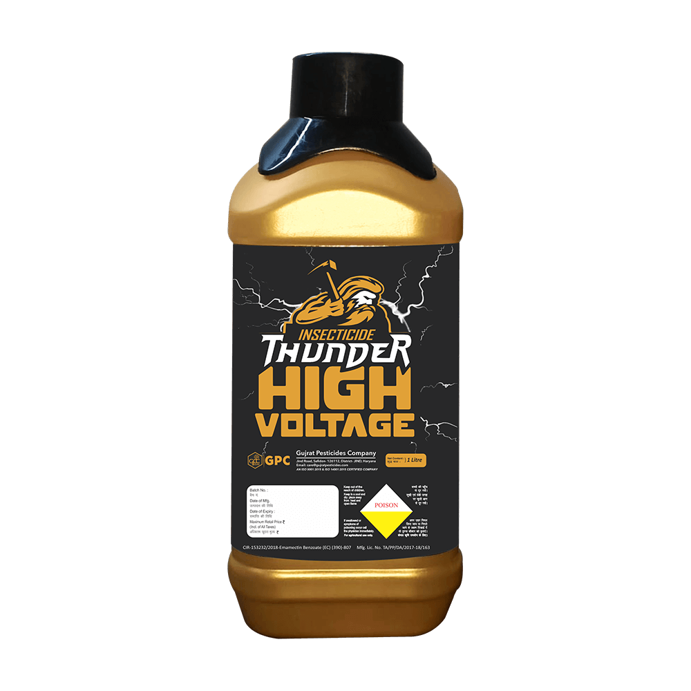 HIGH VOLTAGE THUNDER