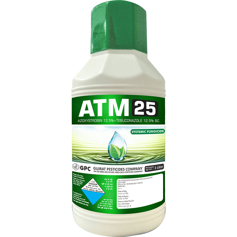 ATM-25