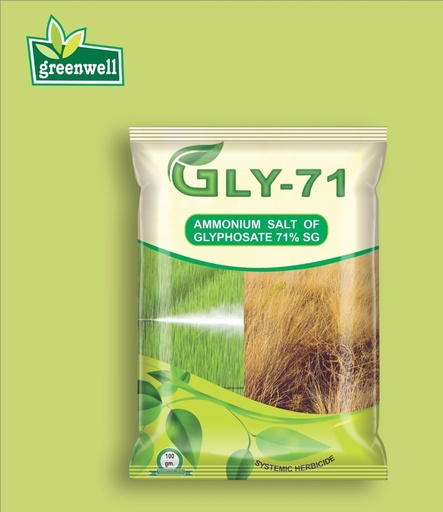 GLY 71