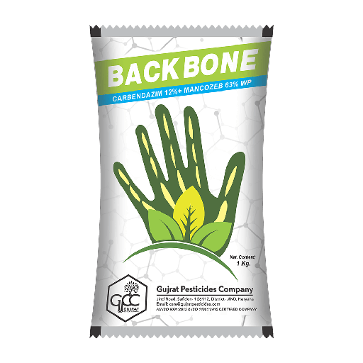 BACKBONE