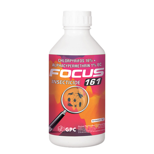 FOCUS 161