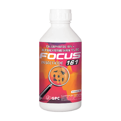 FOCUS 161