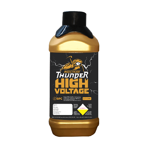 HIGH VOLTAGE THUNDER