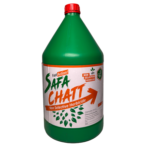 SAFA CHATT